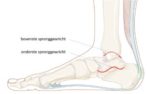 Afbeelding van onderste en bovenste spronggewricht bij pijn in de enkel